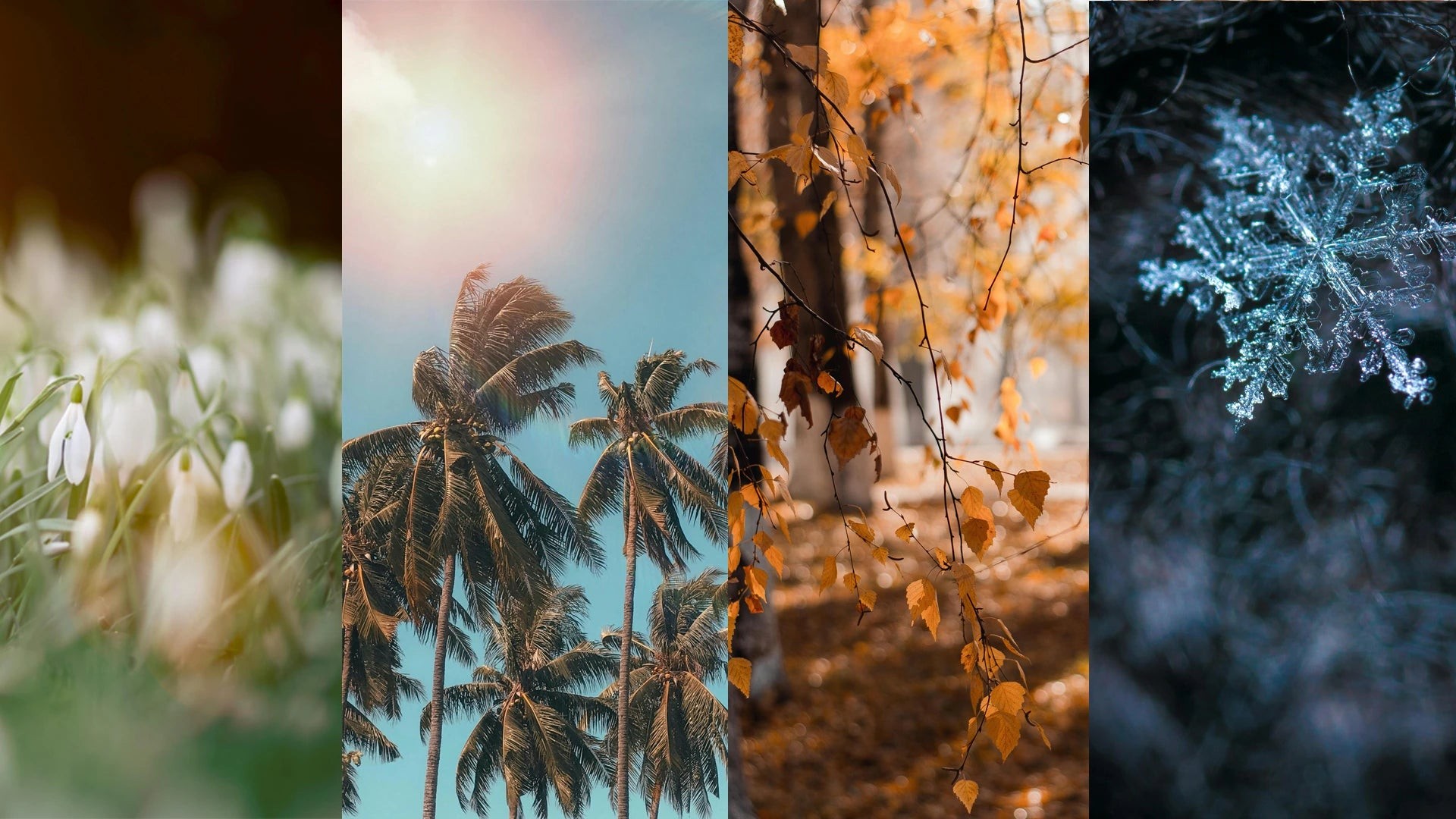 ¿Cuál es la Mejor Época para Viajar a Europa?